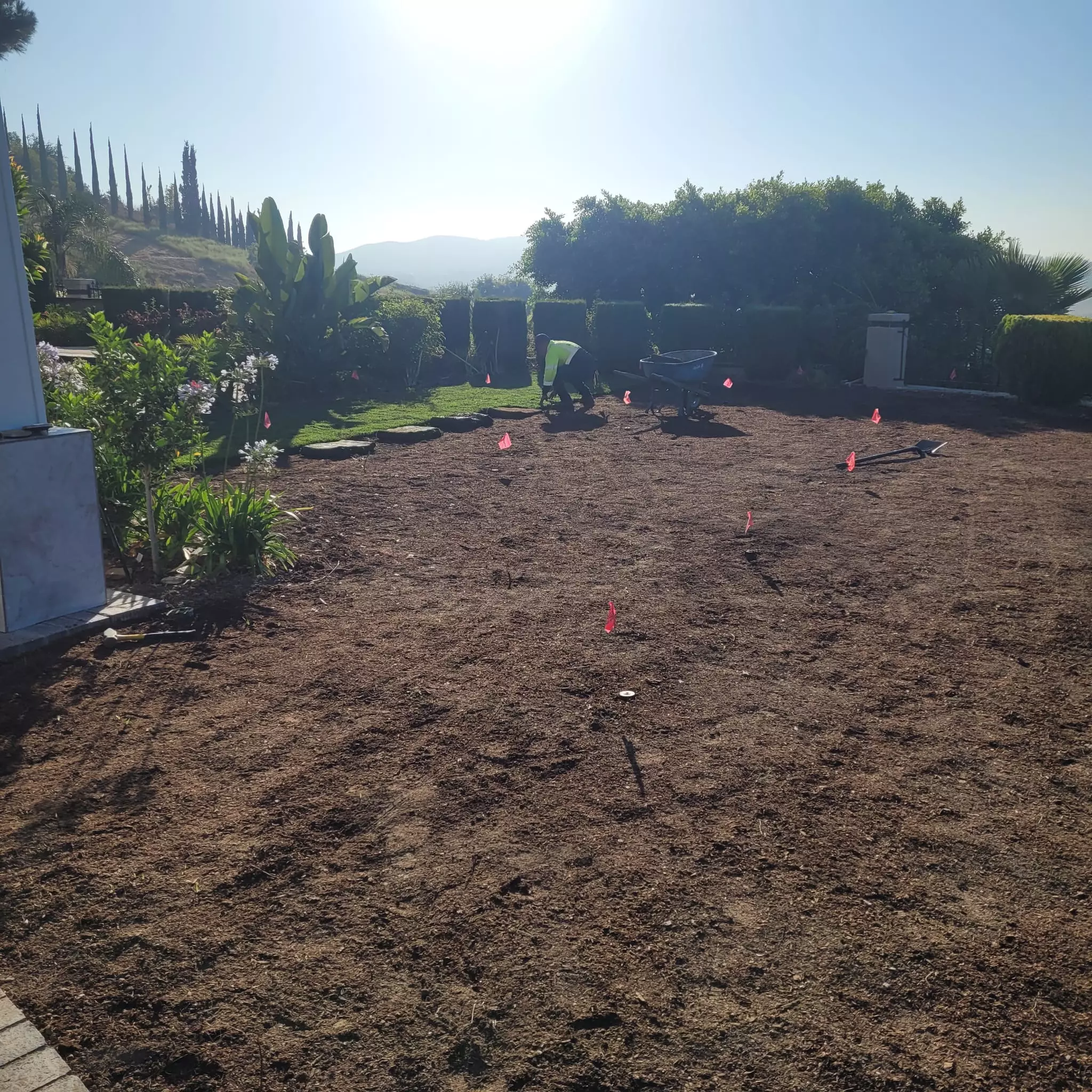 Grass Installation Service